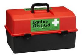 Equine First Aid kit