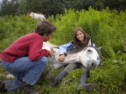 Hanging out with our horses