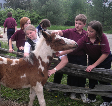 Children & pony