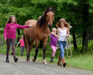 Children and horses