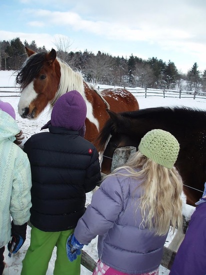 Green Mountain Thunder 4-H