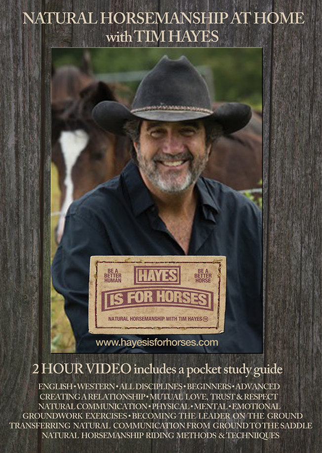 Tim Hayes DVD Cover