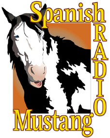 Spanish mustang Radio logo